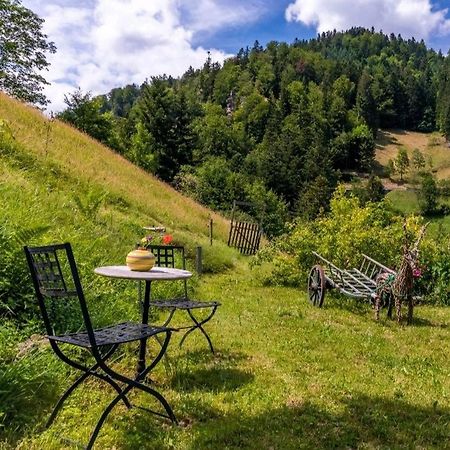Ferienwohnung Teich 11 Gutenbach Zewnętrze zdjęcie