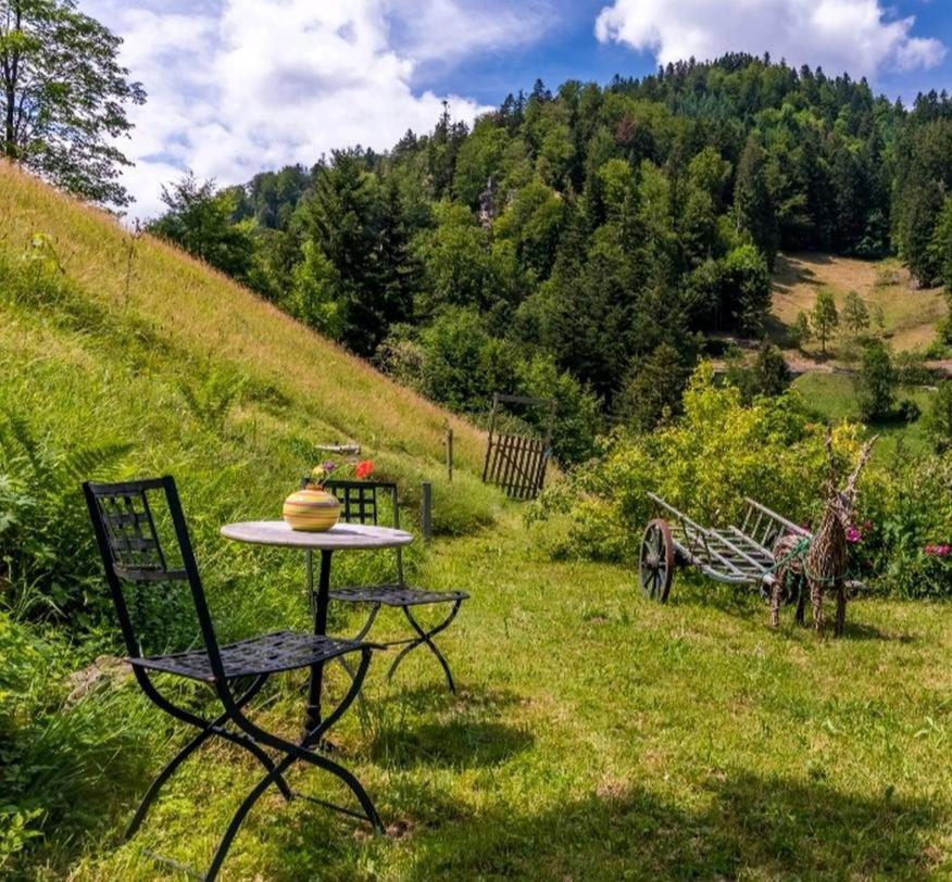 Ferienwohnung Teich 11 Gutenbach Zewnętrze zdjęcie