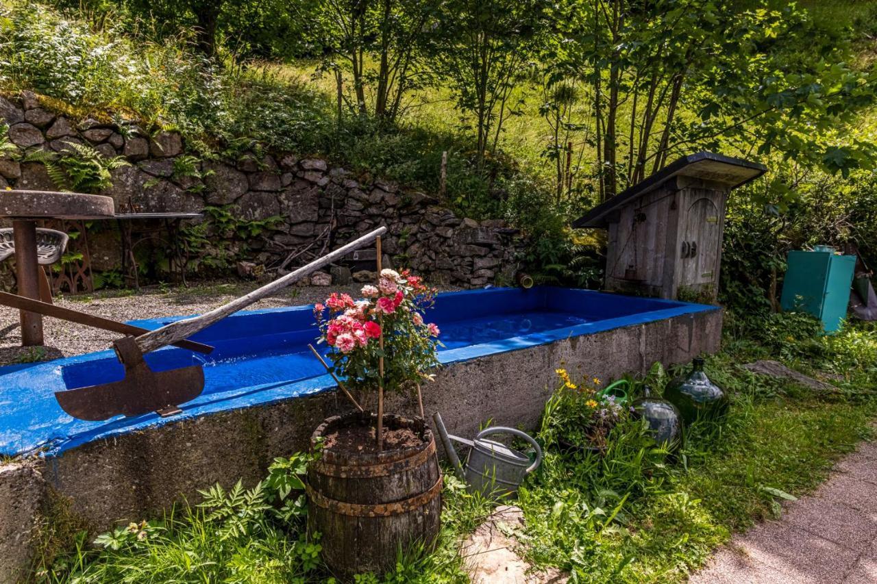 Ferienwohnung Teich 11 Gutenbach Zewnętrze zdjęcie